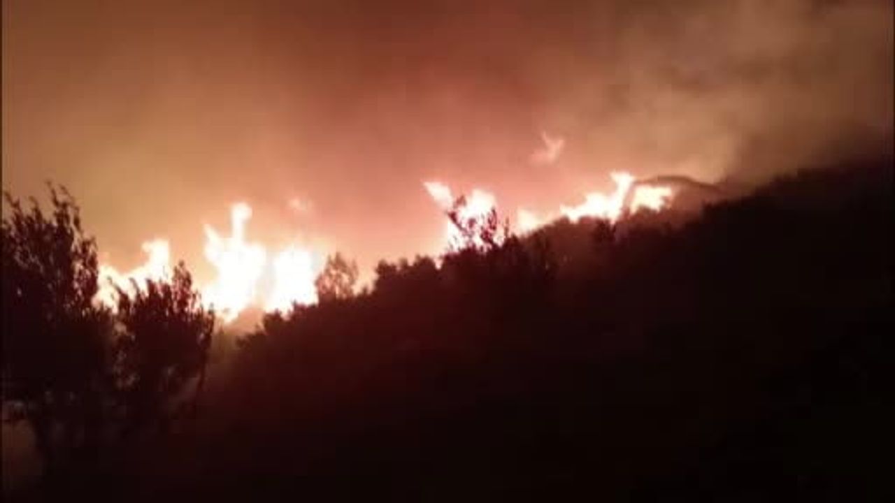 Serik’te orman yangını — Sarıabalı Mahallesi Deliöz mevkii