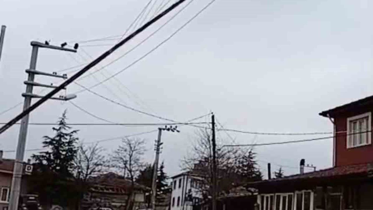 Seyitgazi’de 30 Metrelik Bayrak Direği Elektrik Tellerine Devrildi