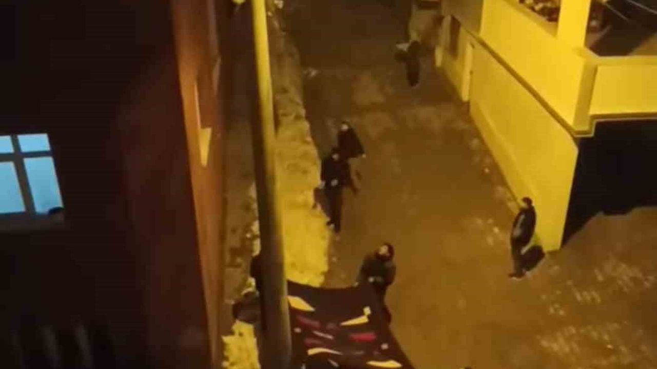 Siirt’te elektrik direğinde mahsur kalan kedi battaniye ile kurtarıldı