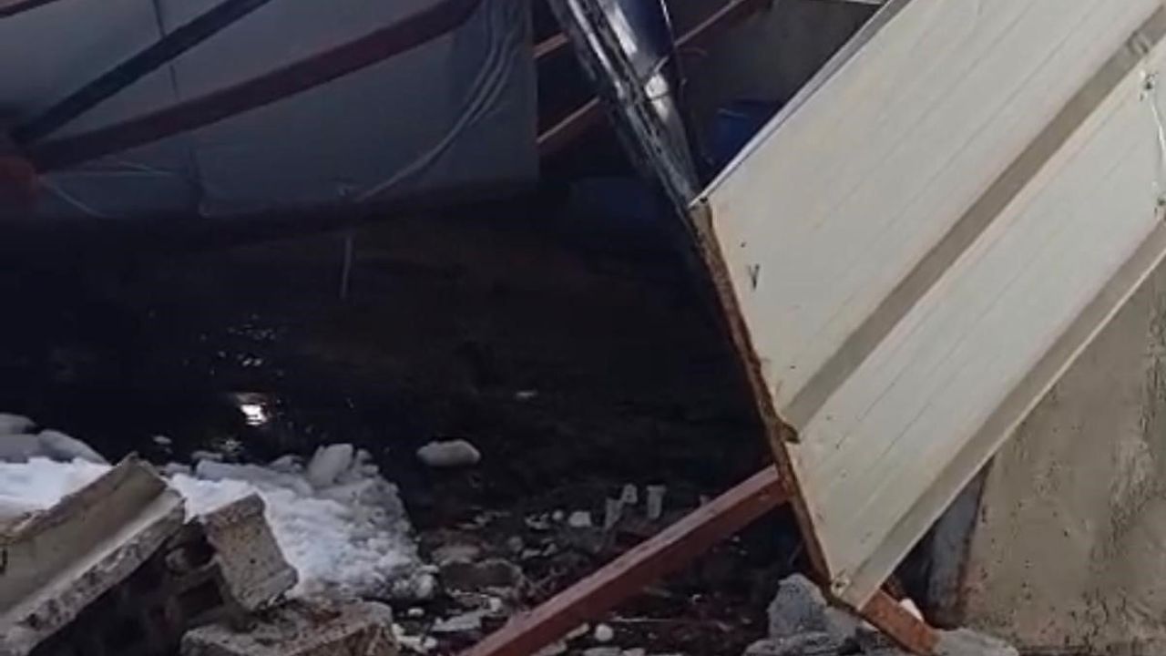 Siirt’te kar yüküyle çöken çiftlik çatısında 5 buzağı telef oldu