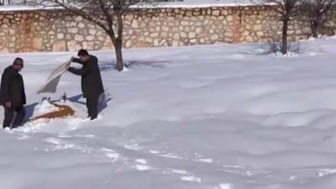 Siirt'te yaban hayvanları için doğaya yem bırakıldı