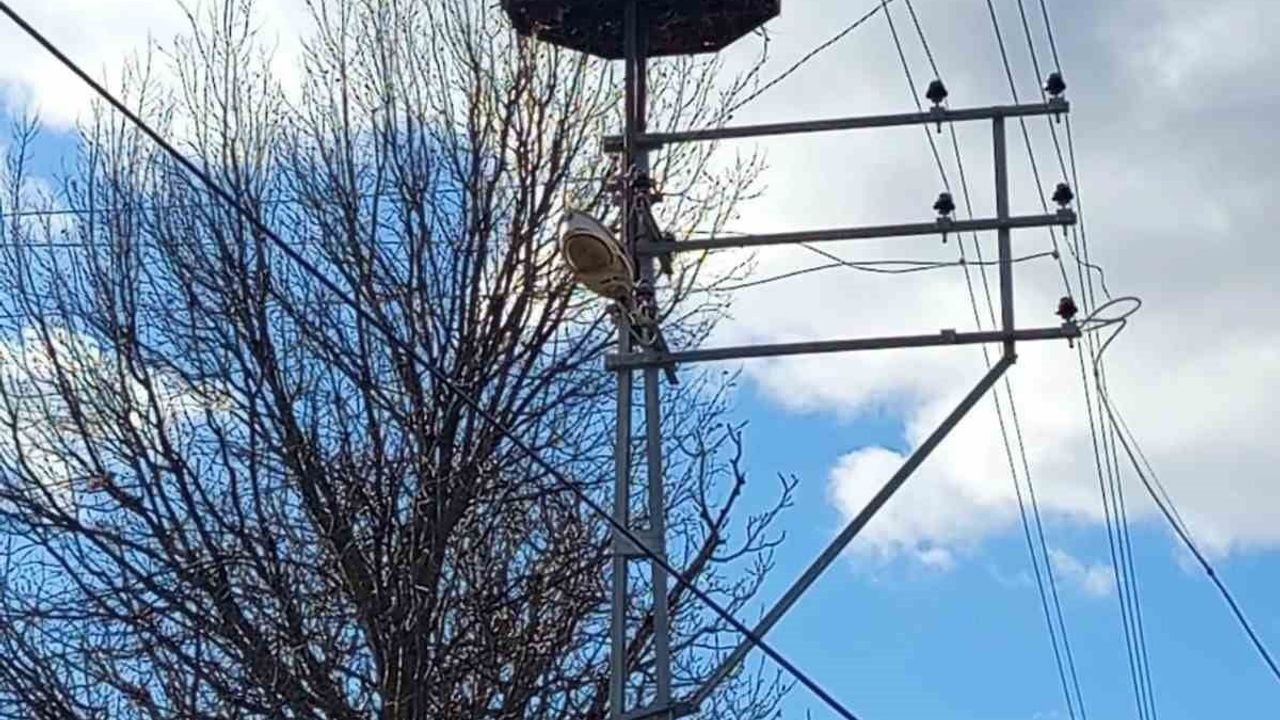 Sinop Saraydüzü'nde leylek projesi saha incelemesi