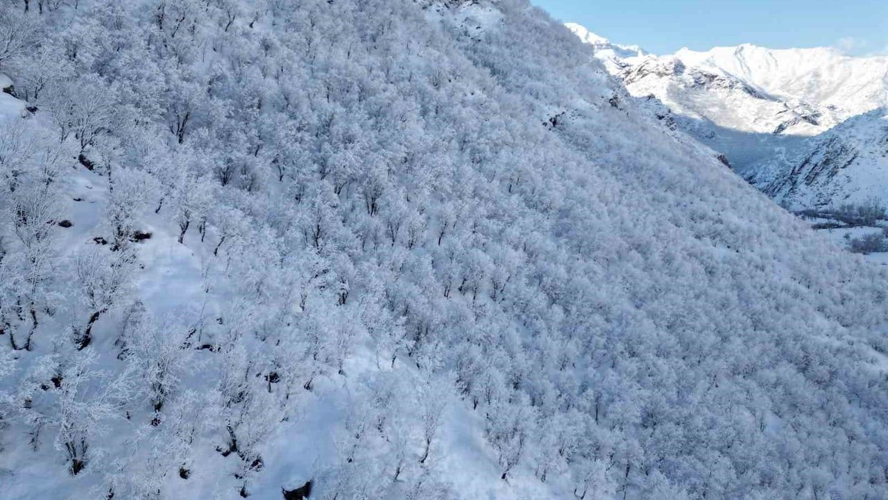 Şırnak'ın Beytüşşebap ilçesinde dereler buz tuttu