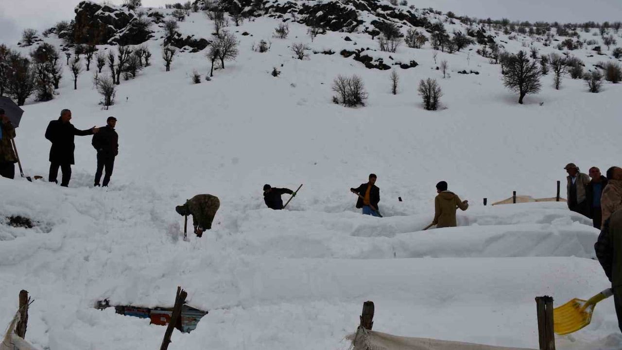 Şırnak'ta çığın altında kalan bal kovanları kurtarıldı