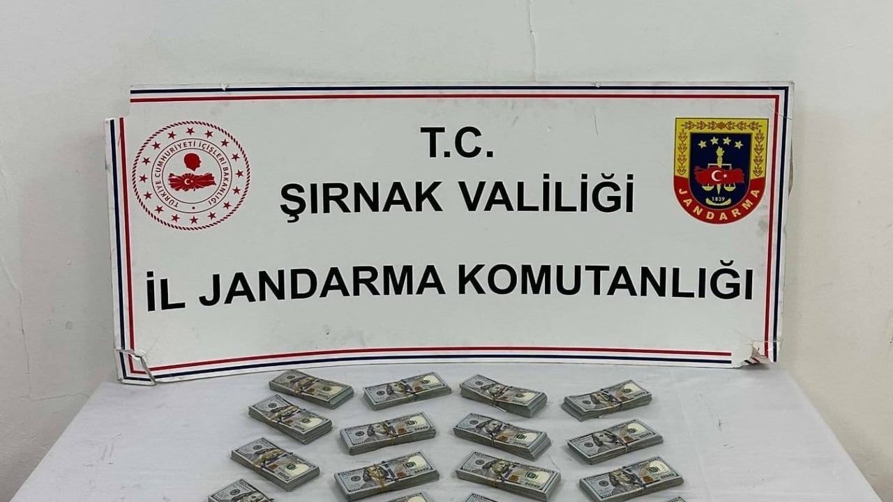 Şırnak’ta jandarmadan kaçakçılığa büyük operasyon