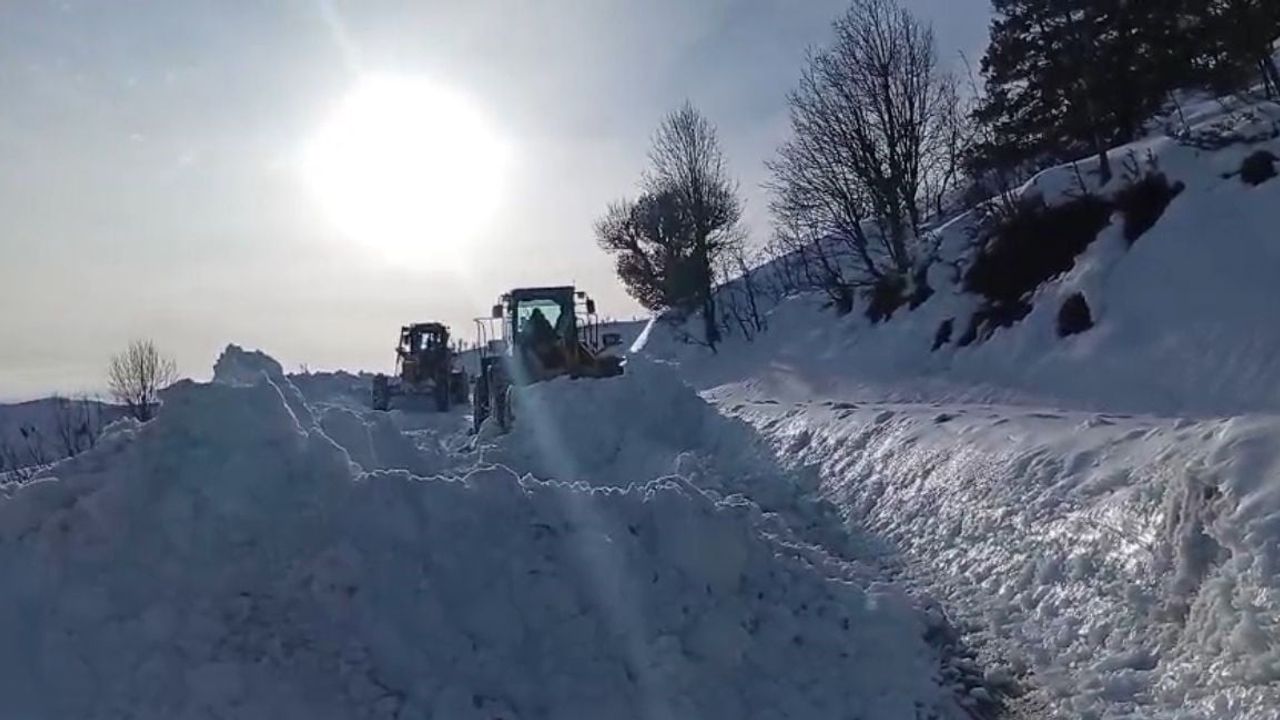 Şirvan'da kar etkisini artırdı — İl Özel İdare çalışmaları sürdürüyor