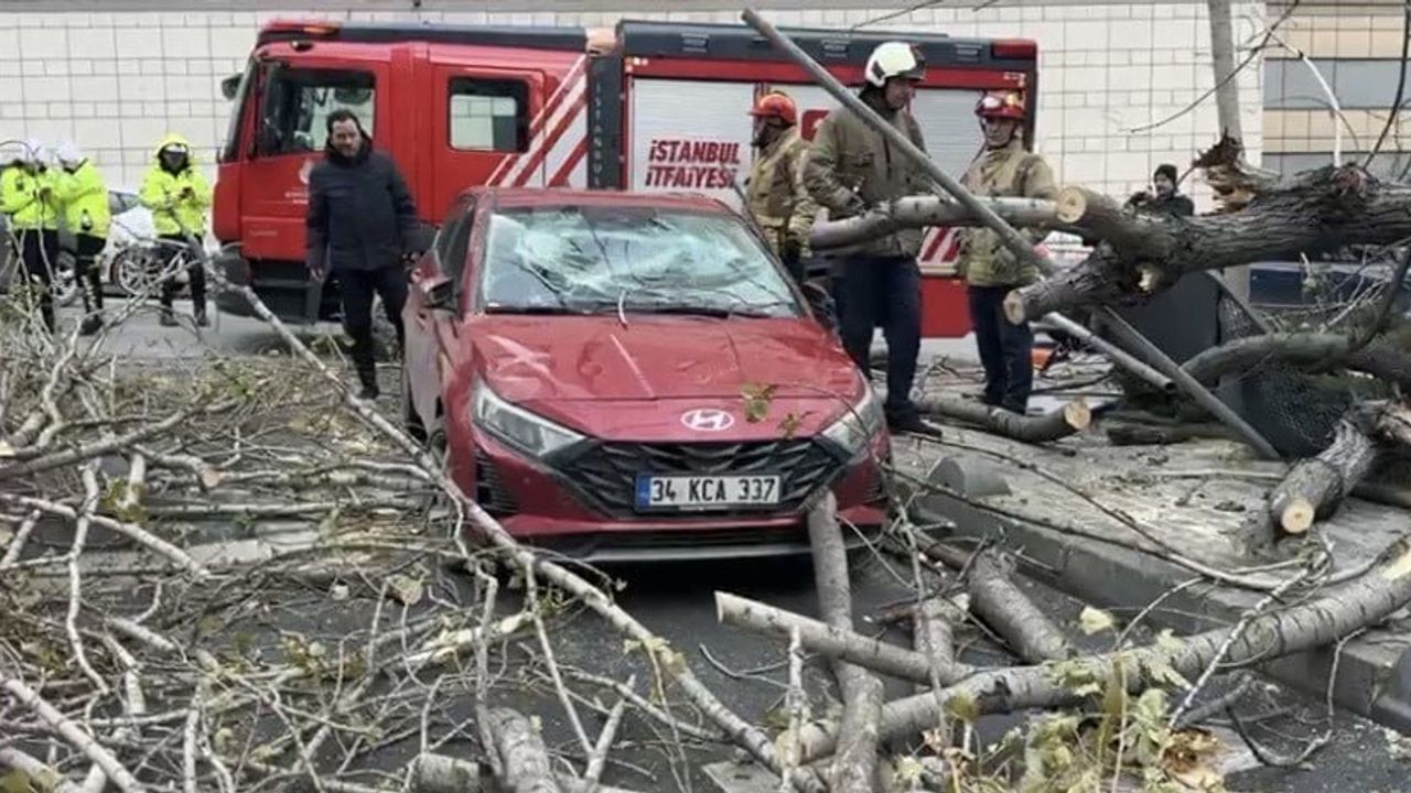 Şişli'de lodos ağaç devirdi: Park halindeki otomobile zarar