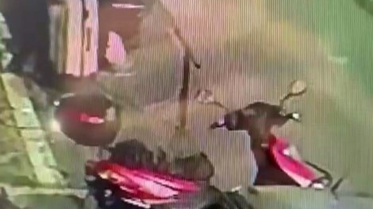 Şişli’de valize konulan ceset güvenlik kameralarında