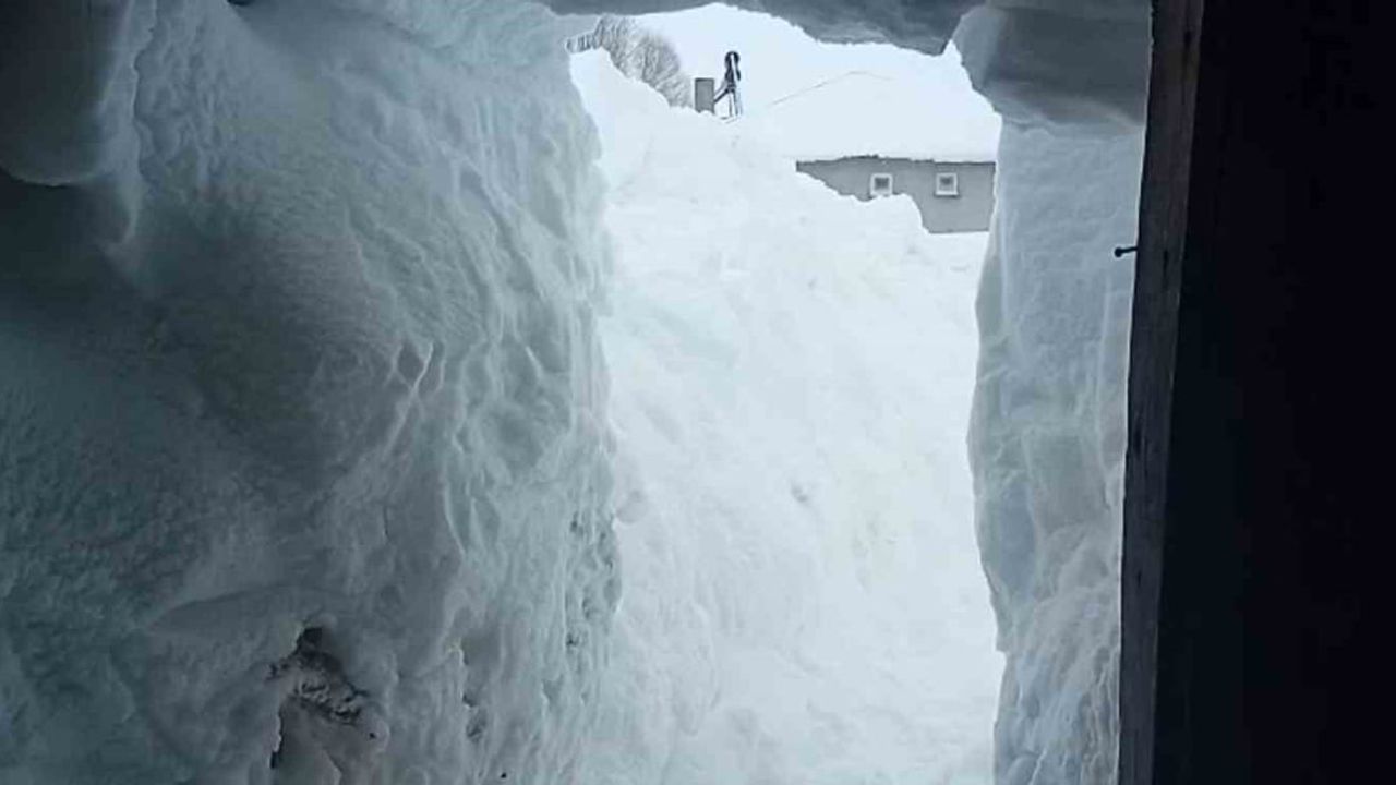 Sivas’ta 3 metre kara gömülen ahır: Çoban 2 saatlik çalışmayla hayvanlarına ulaştı