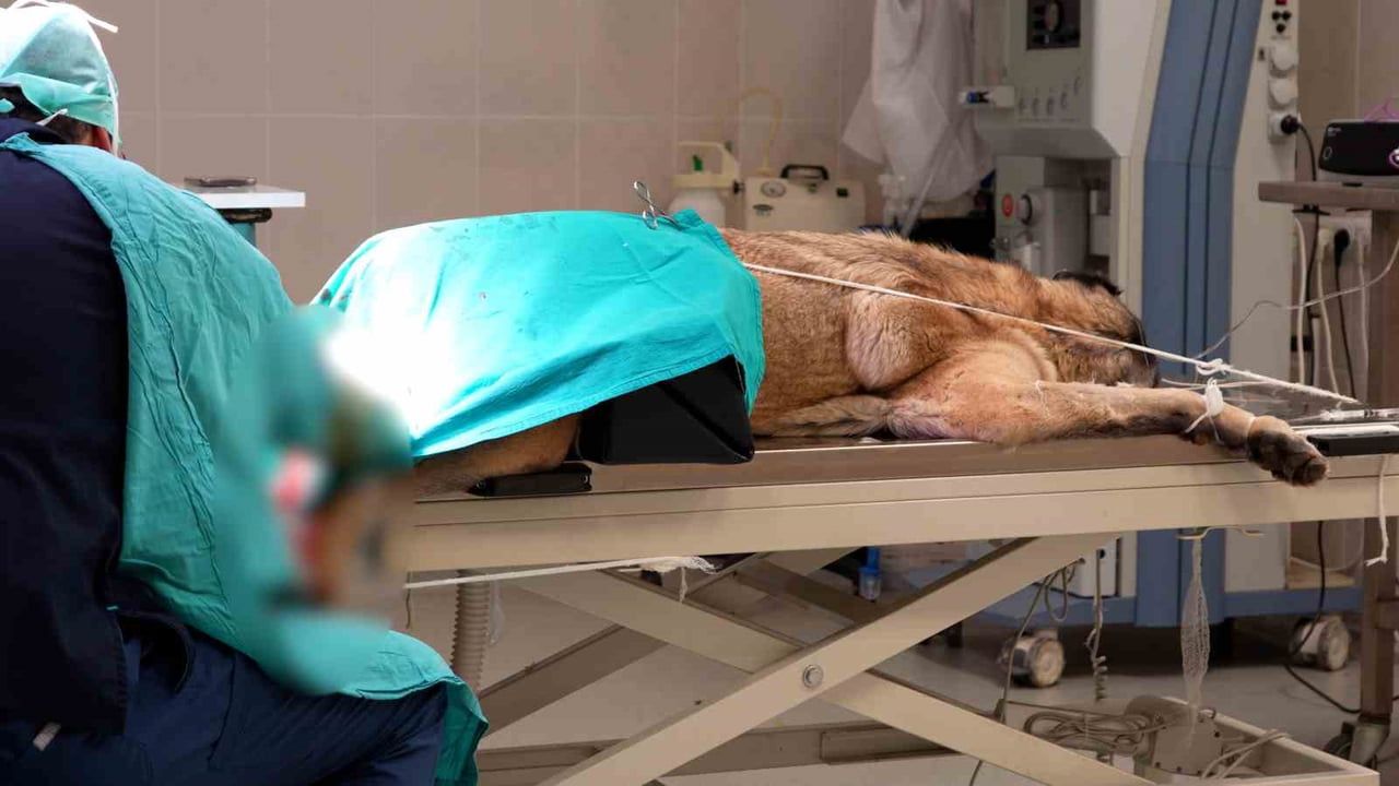 Sivas’ta Acil Klinik mesai dışında da kesintisiz hizmet veriyor