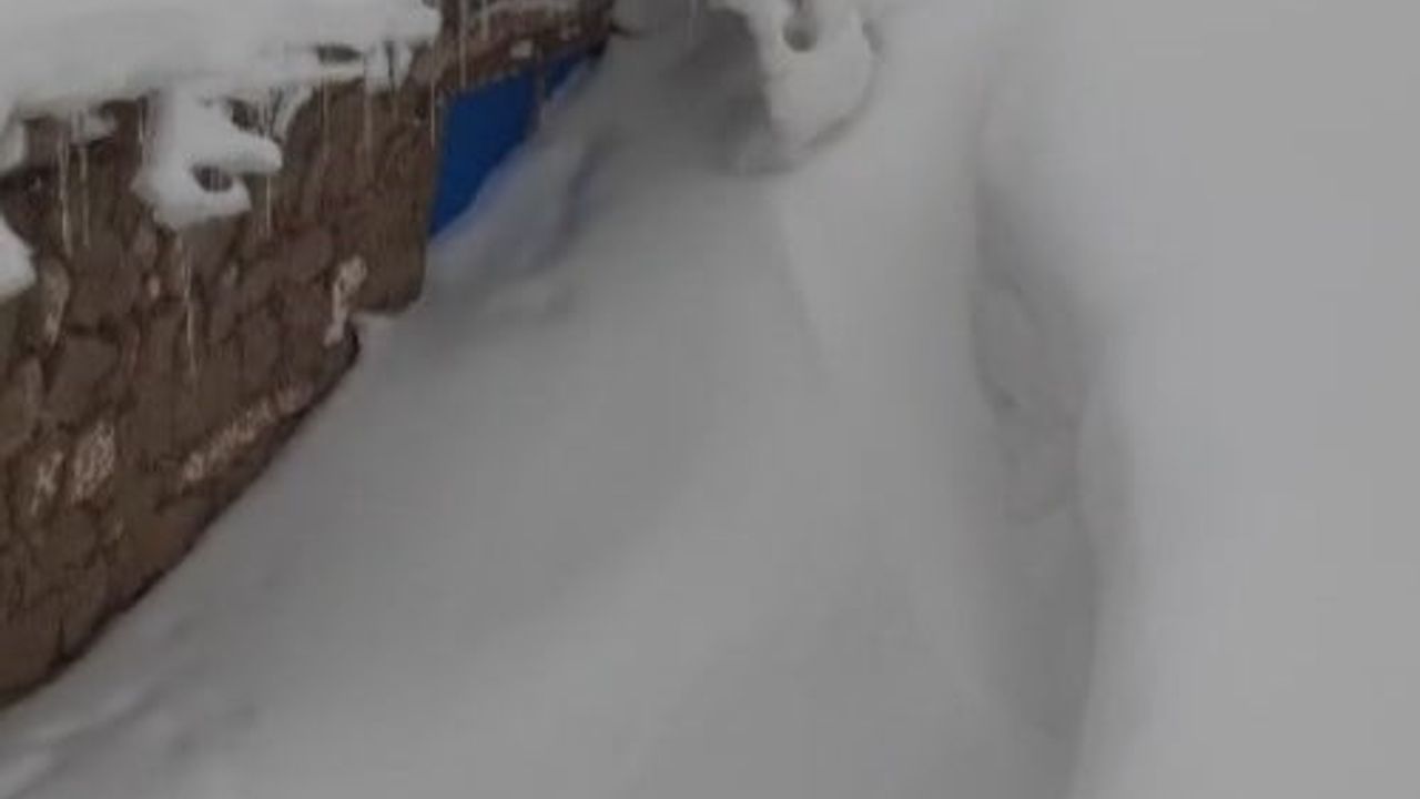 Sivas’ta bina boyu kar yaşamı olumsuz etkiledi