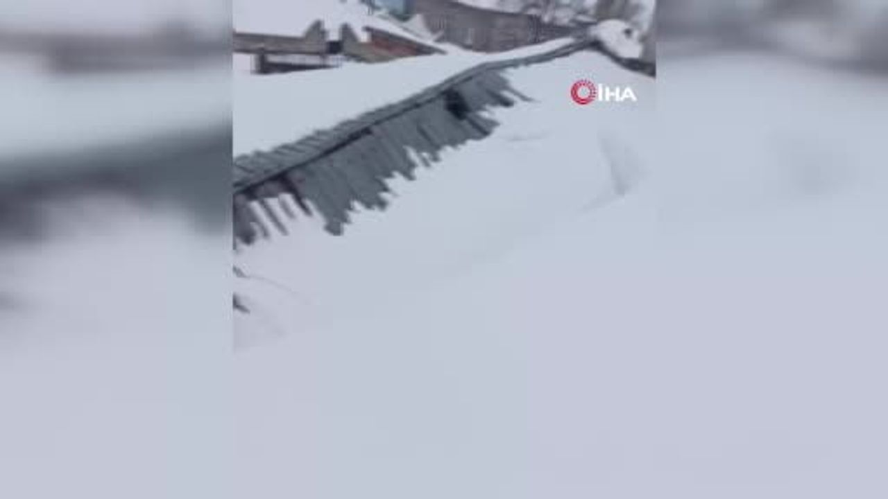 Sivas'ta karla çöken ahırda inekler komşuların yardımıyla kurtarıldı