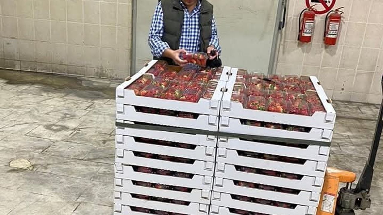 Söke'den 2025'te 42 Ülkeye 49 bin 295 Ton Tarım İhracatı