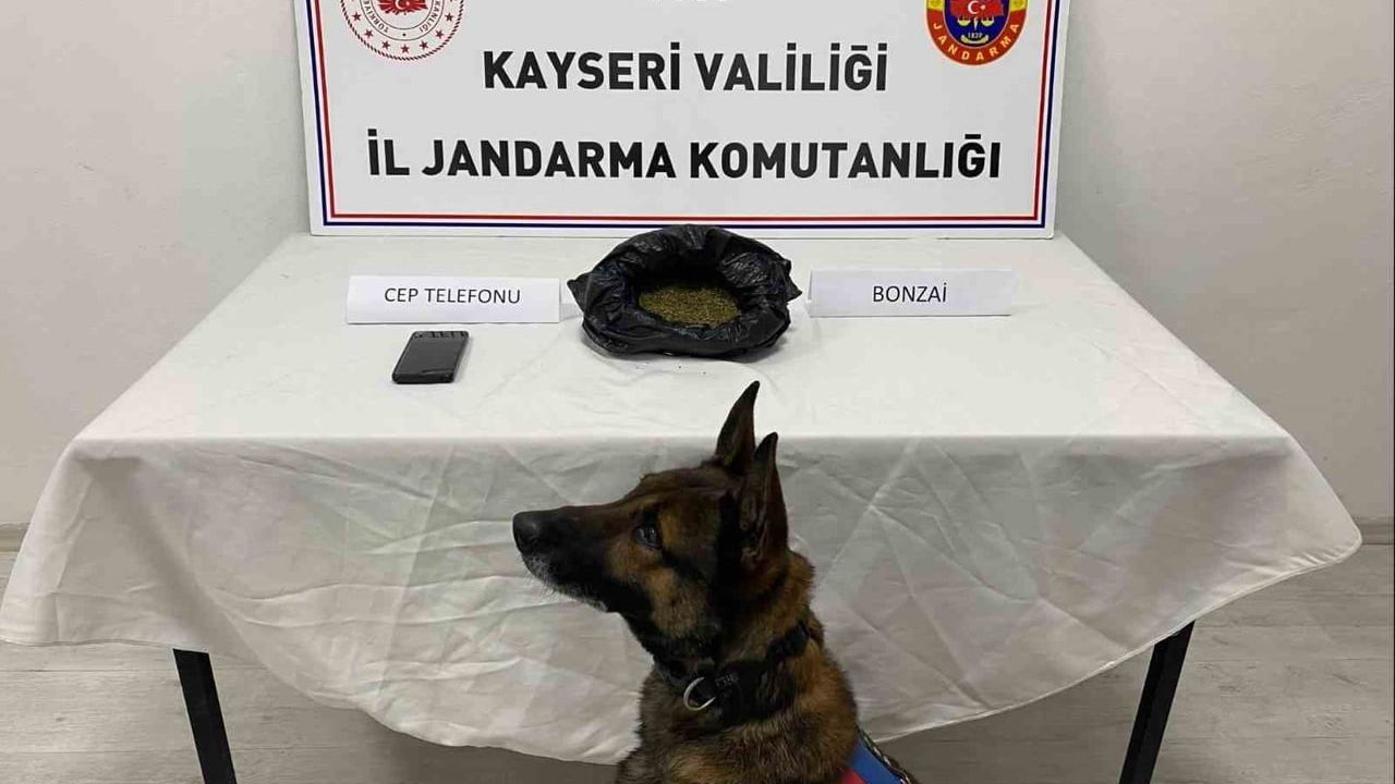 Talas'ta jandarma uyuşturucu operasyonu: 1 kişi gözaltında