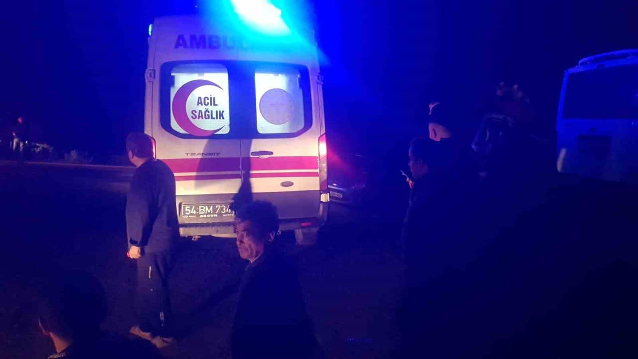 Taraklı'da orman yangınlarında zarar gören ağaçları taşıyan tır devrildi: 3 yaralı