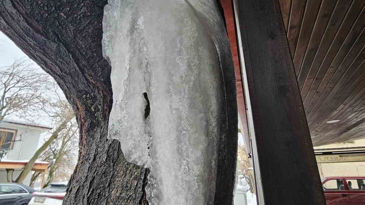 Tarihi Harput'ta dondurucu soğuk: çatılarda ve ağaçlarda buz sarkıtları
