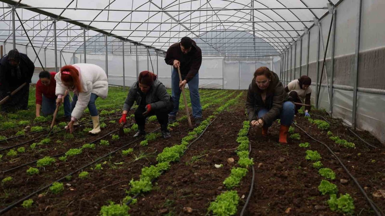 Tarım Akademisi: Kocaeli'de 16-55 yaş arası aday çiftçilere uygulamalı eğitim