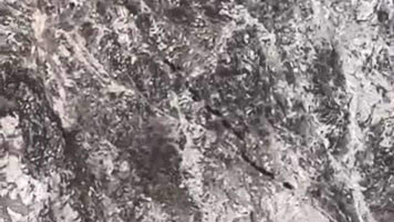 Taşlıyayla'da yiyecek arayan domuz sürüsü görüntülendi