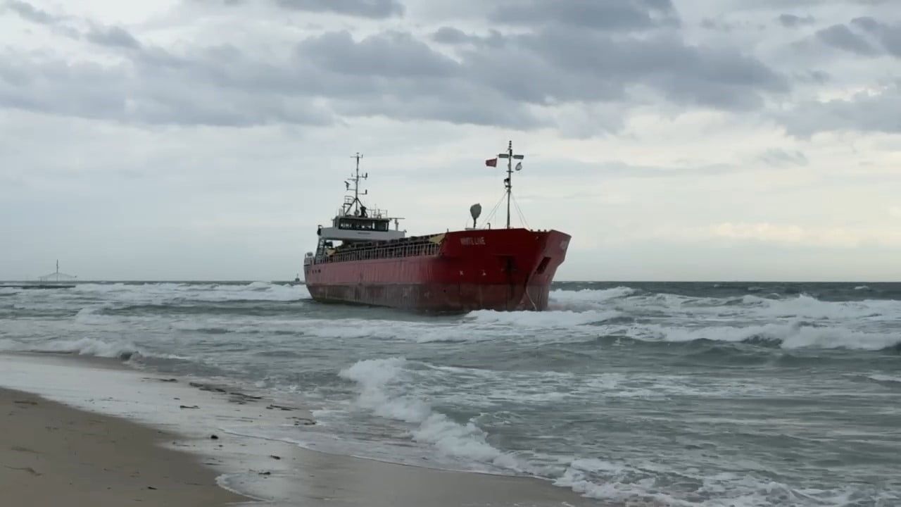 Tekirdağ'da Palau bayraklı 'White Line' yük gemisi karaya oturdu