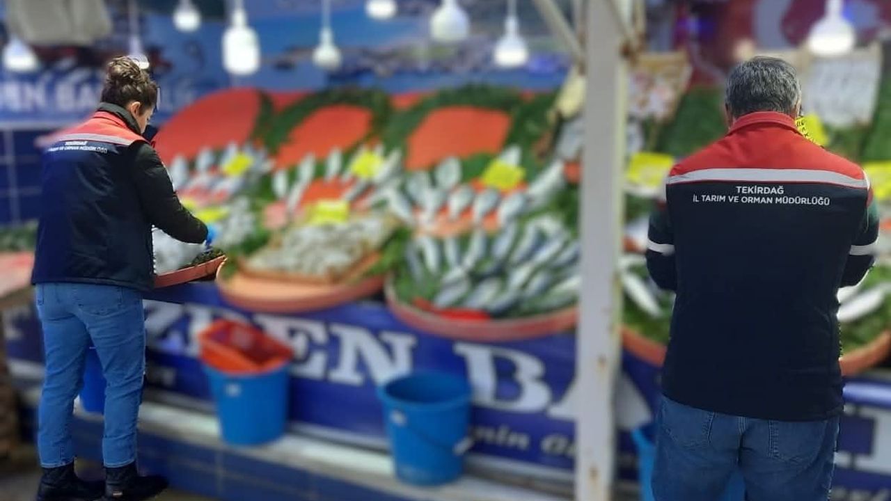 Tekirdağ’da su ürünleri denetimleri sürüyor