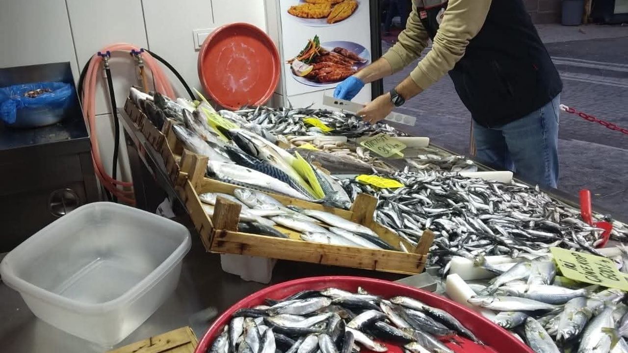 Tekirdağ'da su ürünleri denetimleri yıl boyunca aralıksız sürüyor