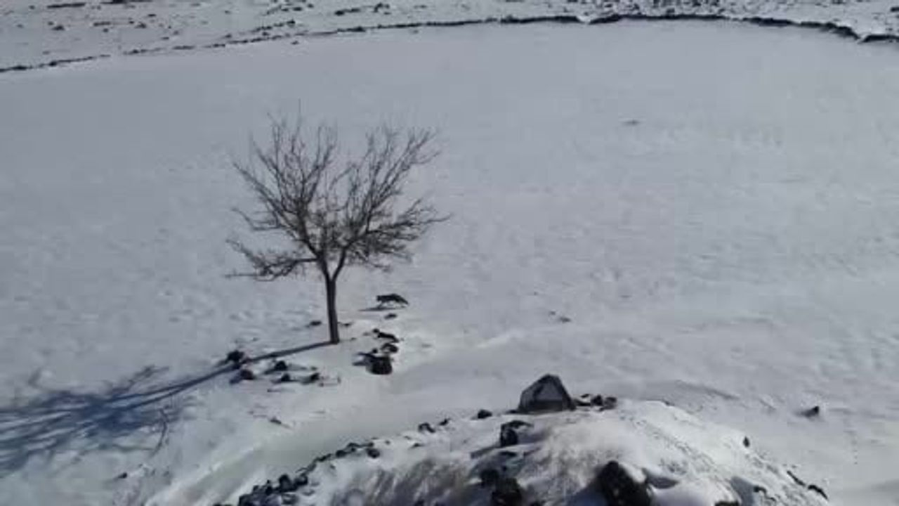 Tilki ile dronun karda şaşırtan kovalamacası