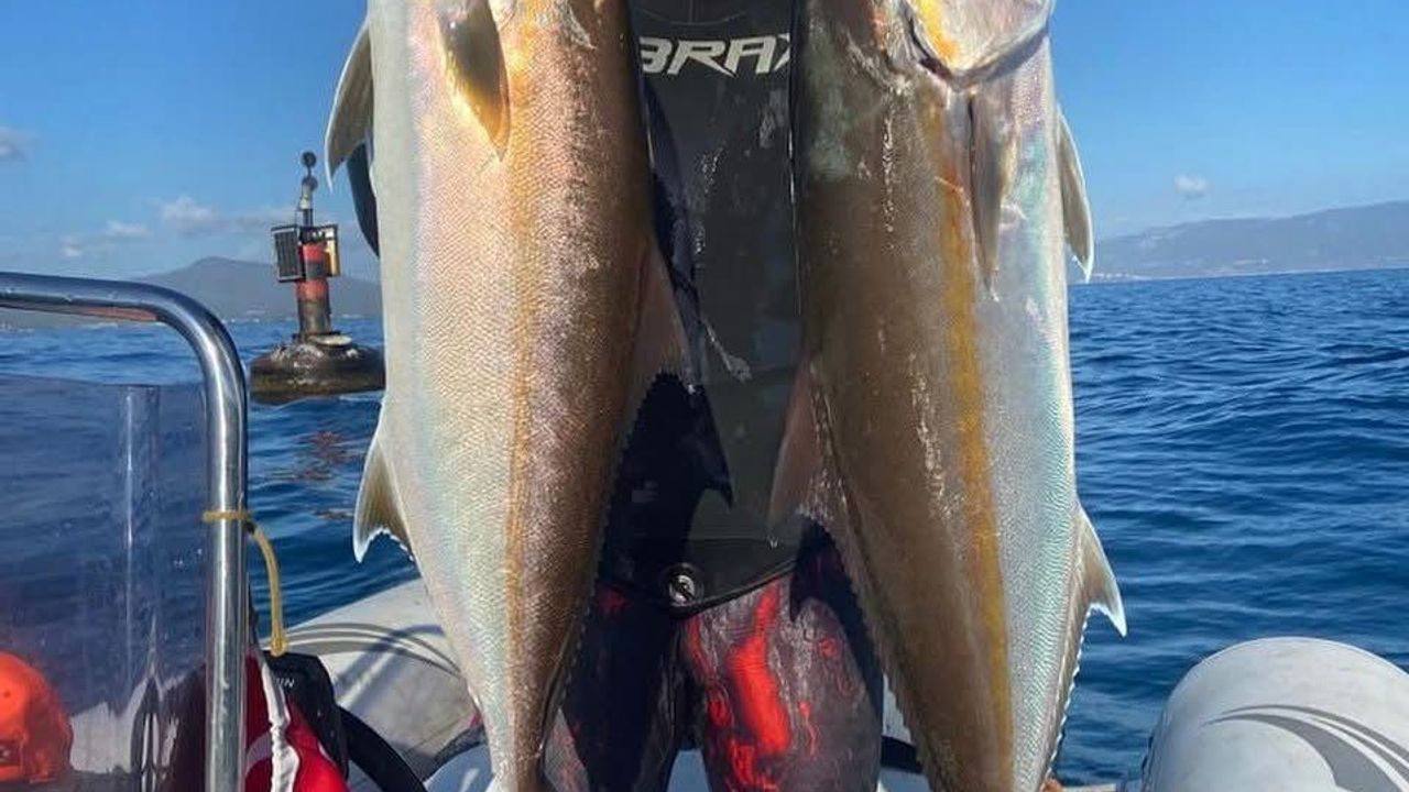 Tire’de eski milli sualtı sporcusu sırtındaki tüfeğin kazara ateş alması sonucu yaşamını yitirdi