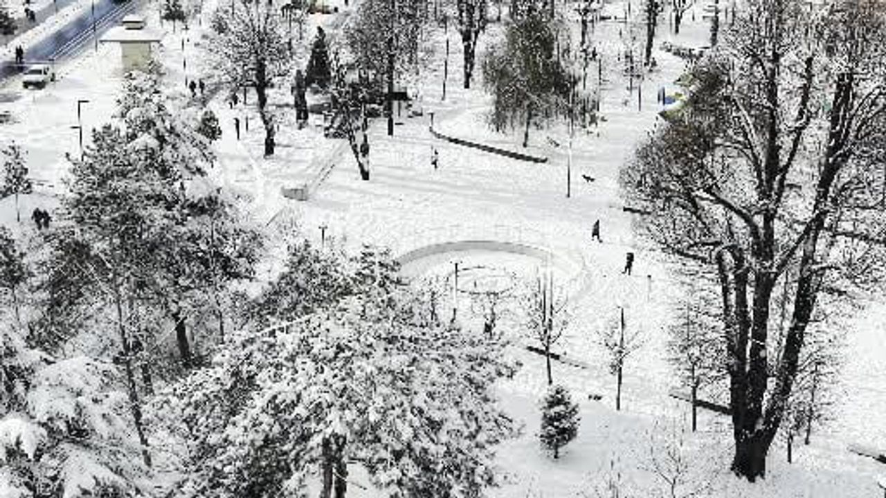 Tropik Ülkelerden Gelen Öğrenciler Düzce'de İlk Karın Keyfini Çıkardı