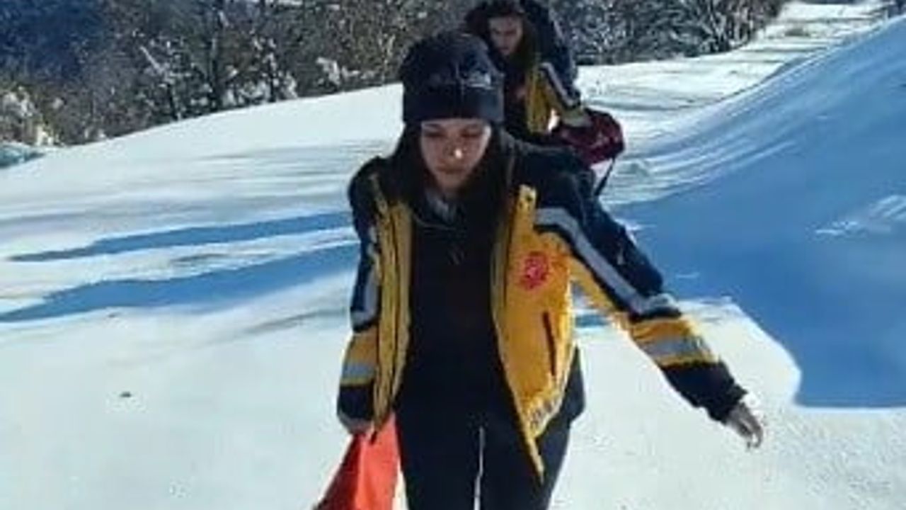 Tunceli'de ekipler 1 kilometre yürüyerek hastayı ambulansa taşıdı