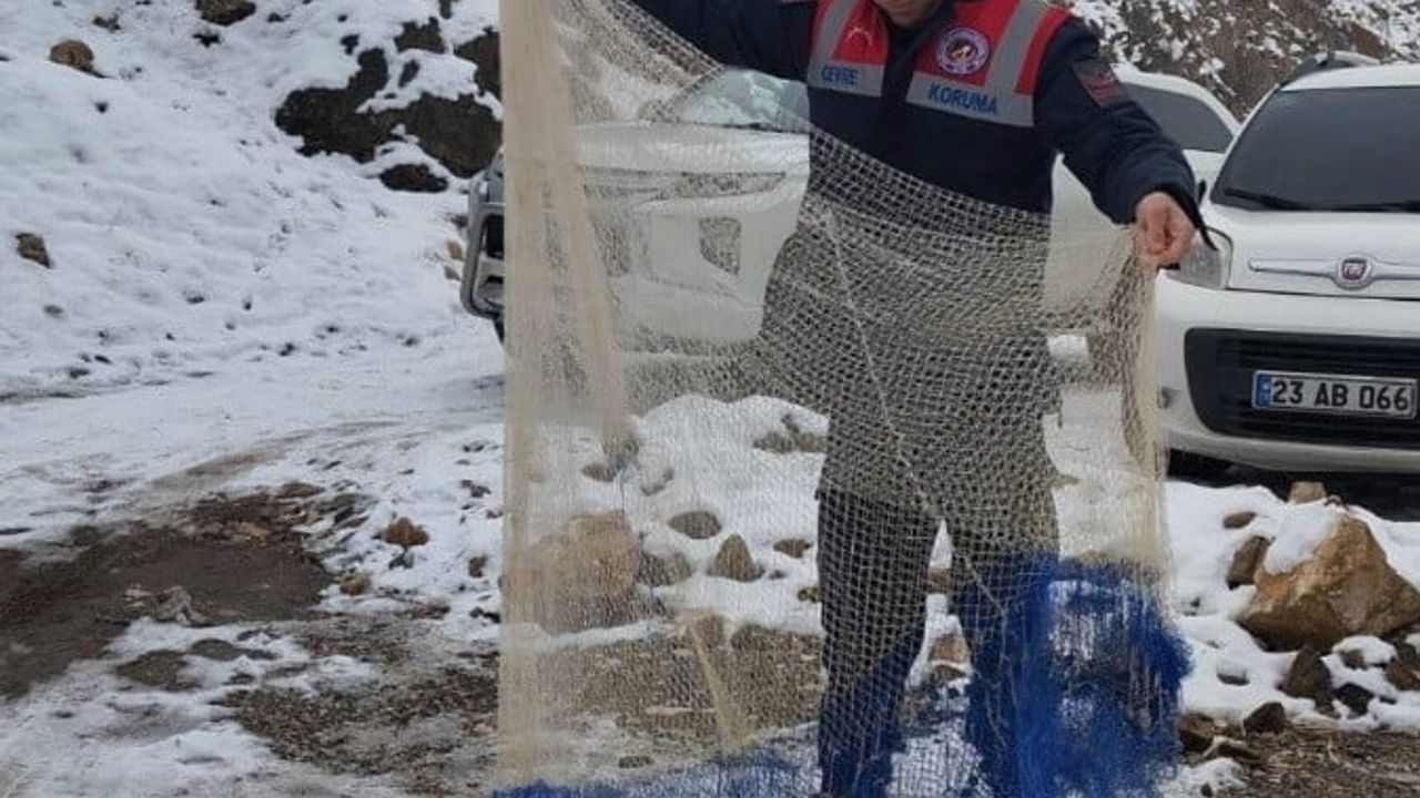 Tunceli’de kararlı müdahale: Kaçak avcılara ceza, bir terör şüphelisi tutuklandı