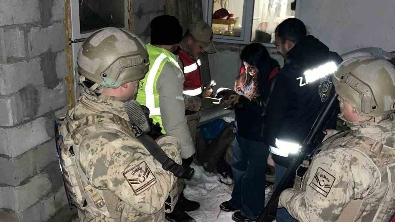 Tunceli'de yavru köpeğe eziyet eden kişi tutuklandı