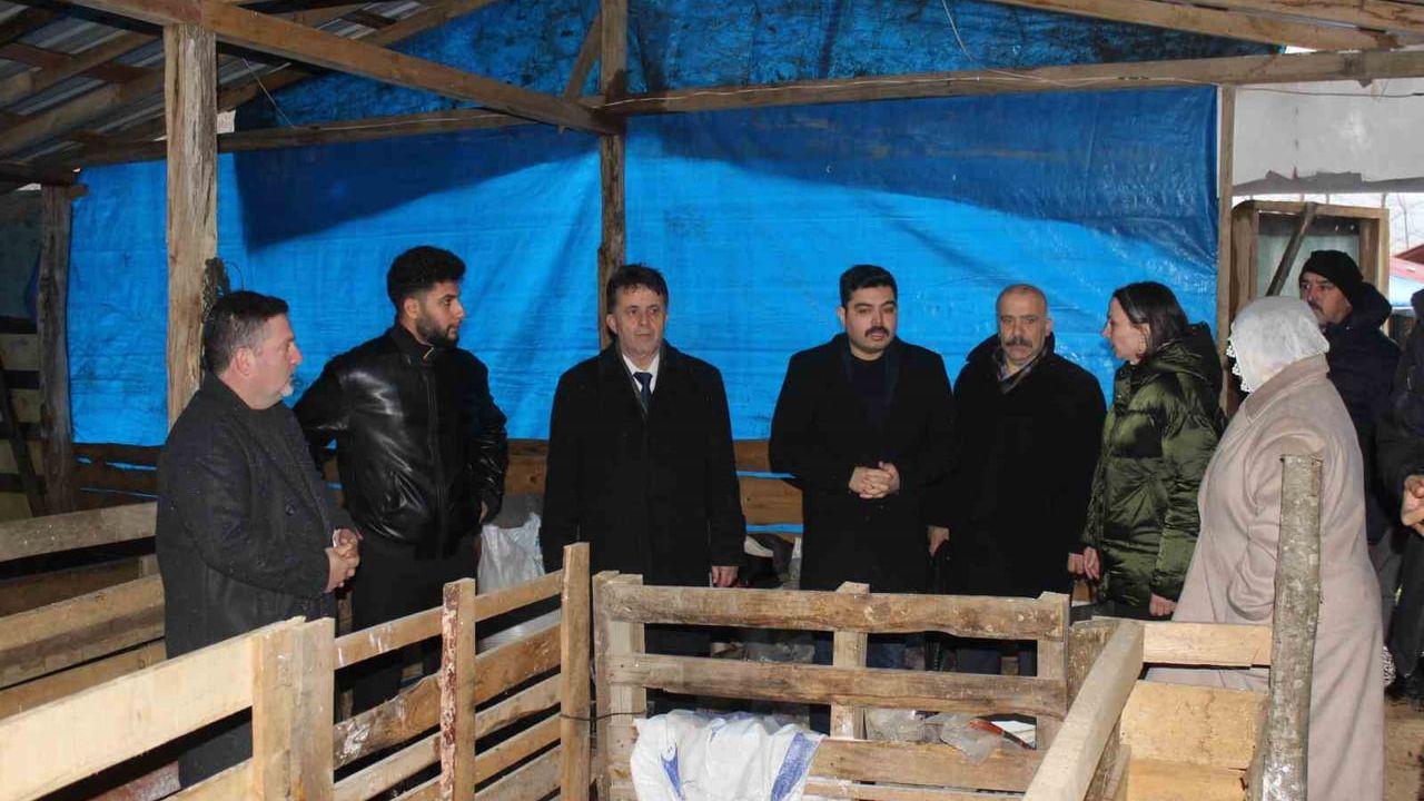 Türkeli'de devlet destekli küçükbaş tesisi örnek gösterildi