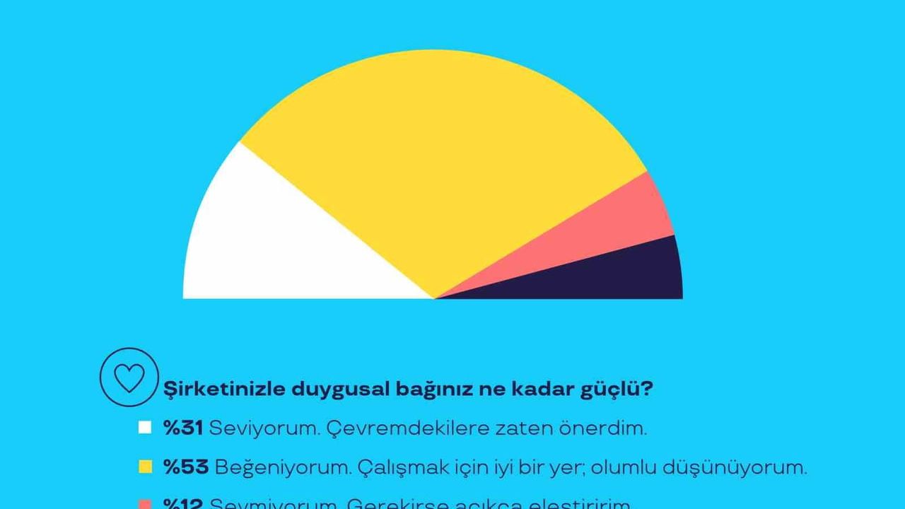 Türkiye Çalışanlarının Çoğu İş Yerini Seviyor: Dengeli Bağlılık Öne Çıkıyor