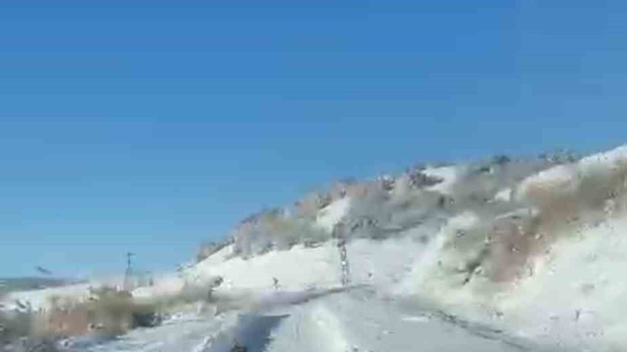 UMKE ekiplerinin hasta nakline bir kurt yol boyu eşlik etti