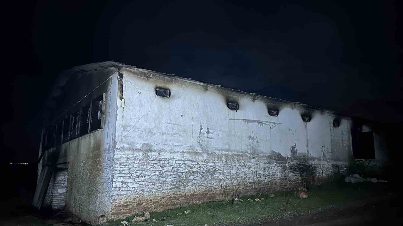 Uşak'ta boş tavuk çiftliğinde çıkan yangın kısa sürede söndürüldü