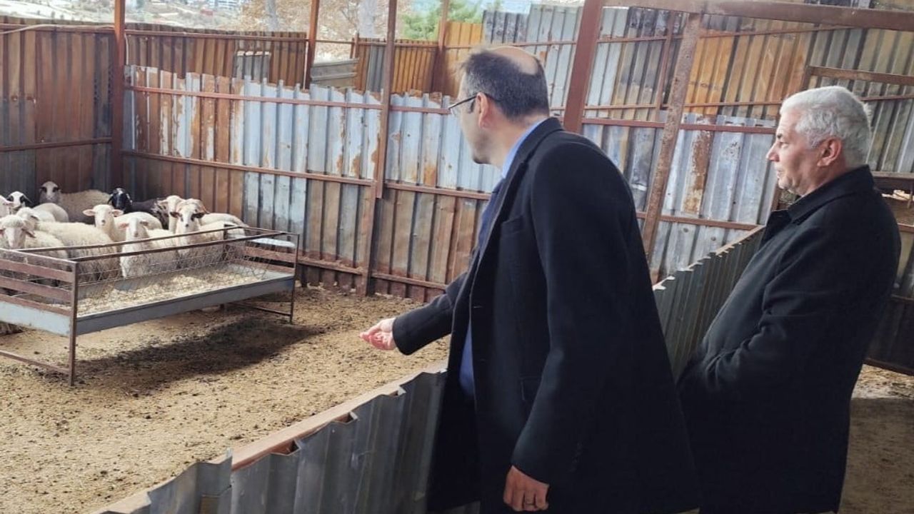 Uşak'ta tarım teşkilatı saha ziyaretleriyle üreticinin yanında