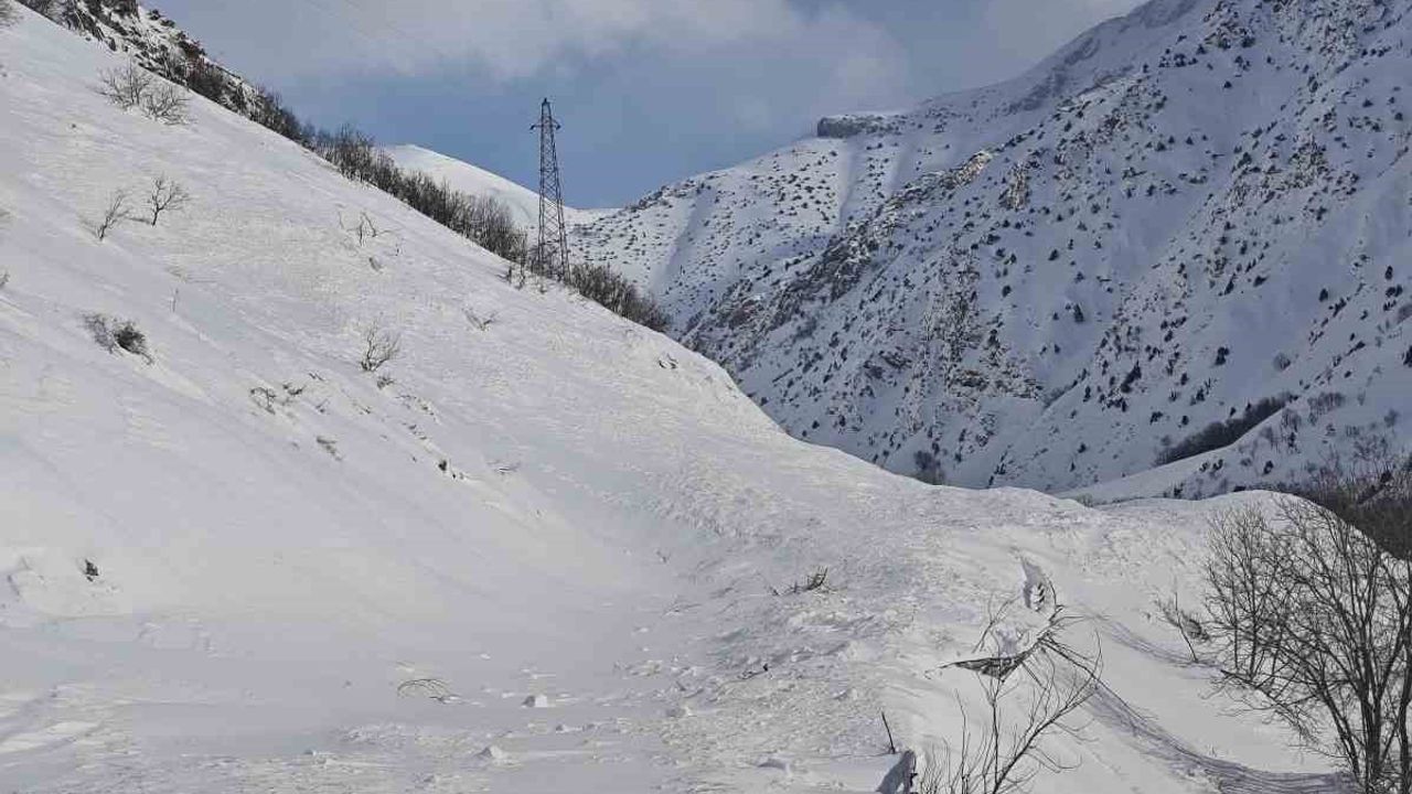 Van-Çatak karayolunda çığ temizleme çalışmaları sürüyor