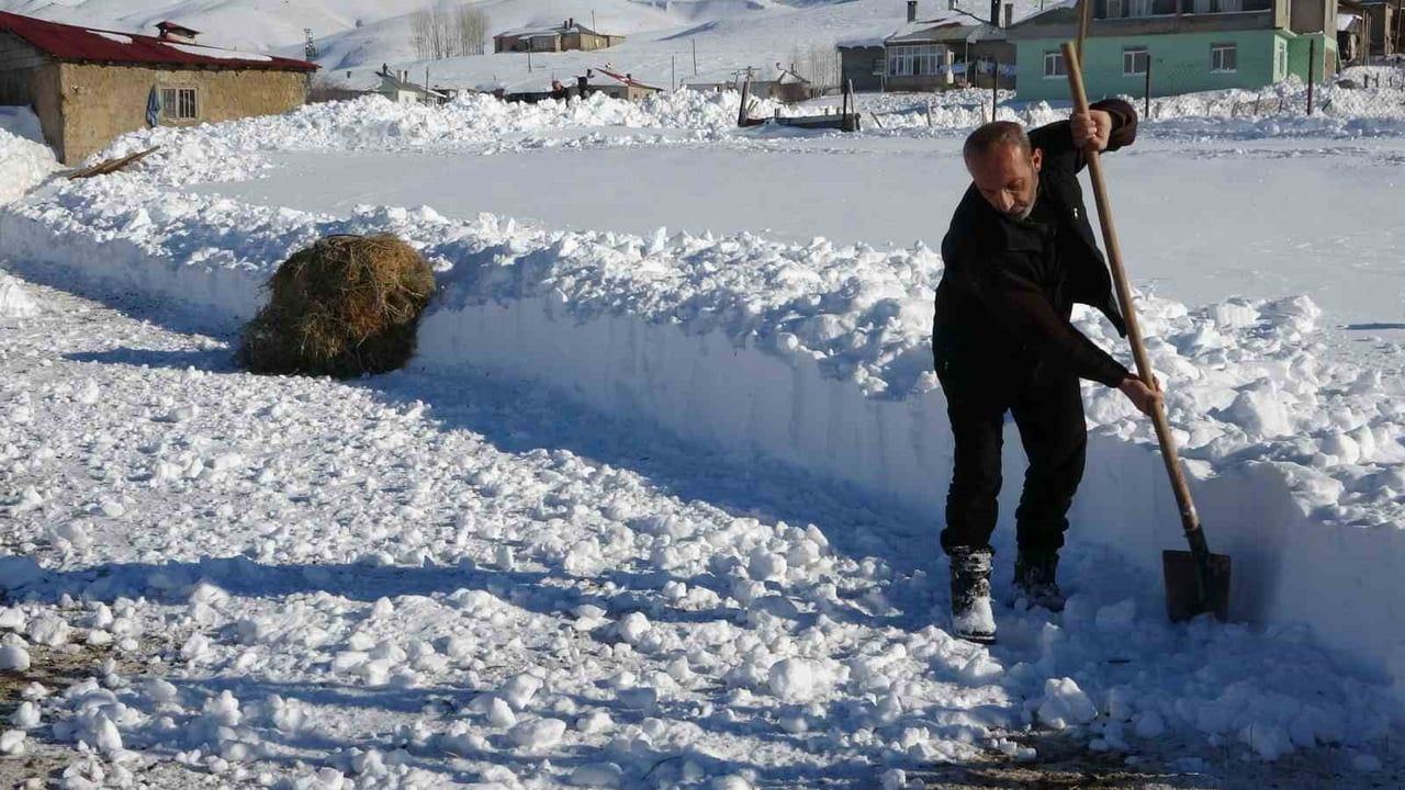 Van Çatak'ta besicilerin kış mesaisi: Kar altında yem mücadelesi
