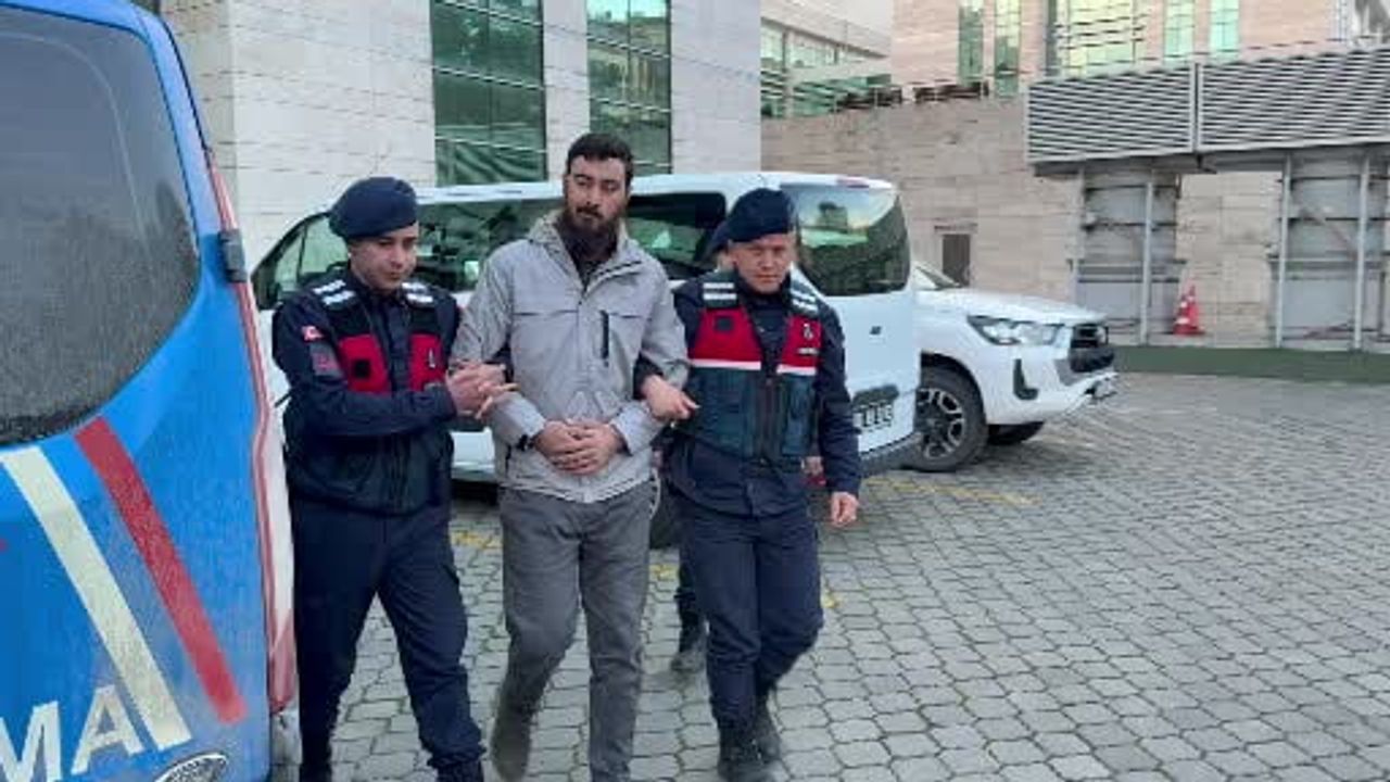 Vezirköprü'de DEAŞ operasyonu: 1 kişi gözaltına alındı