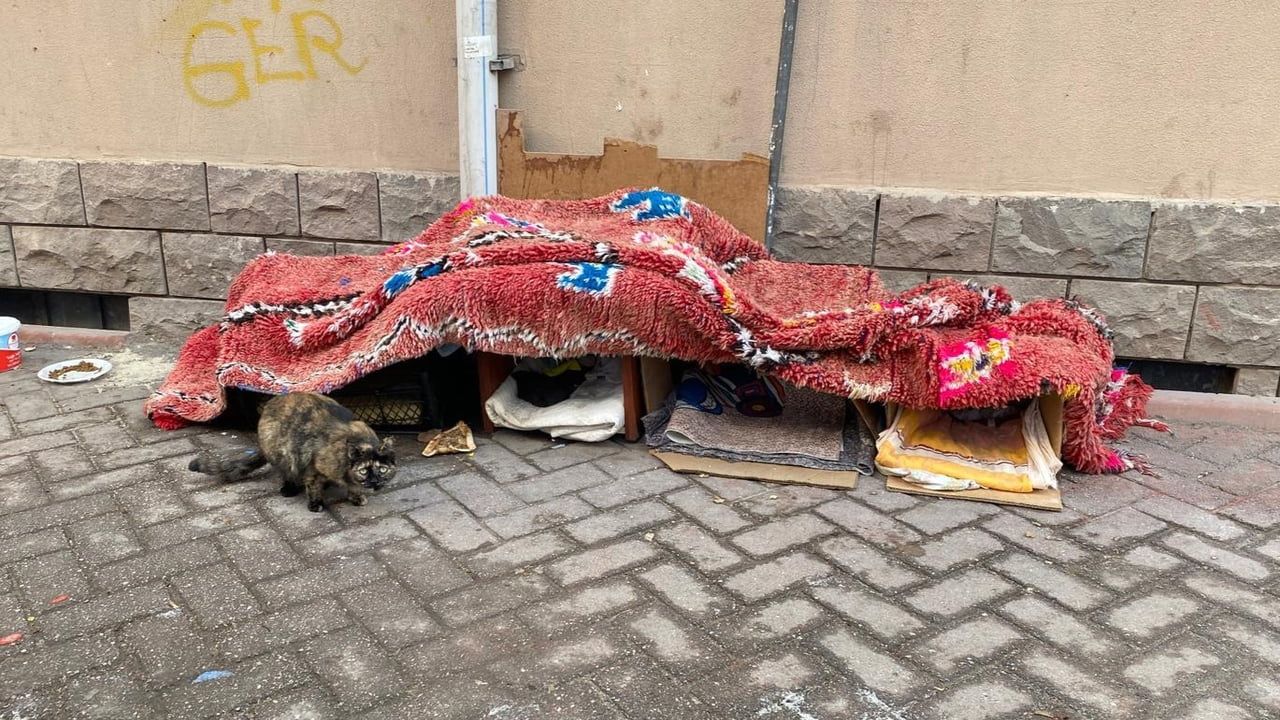 Vişnelik’te vatandaşlardan sokak hayvanlarına korunaklı kulübeler