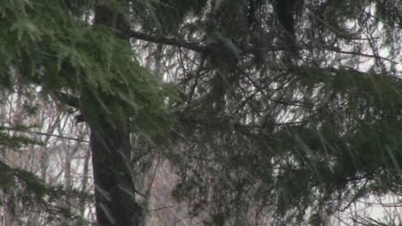 Yenibosna'da kar yağışı etkisini sürdürüyor