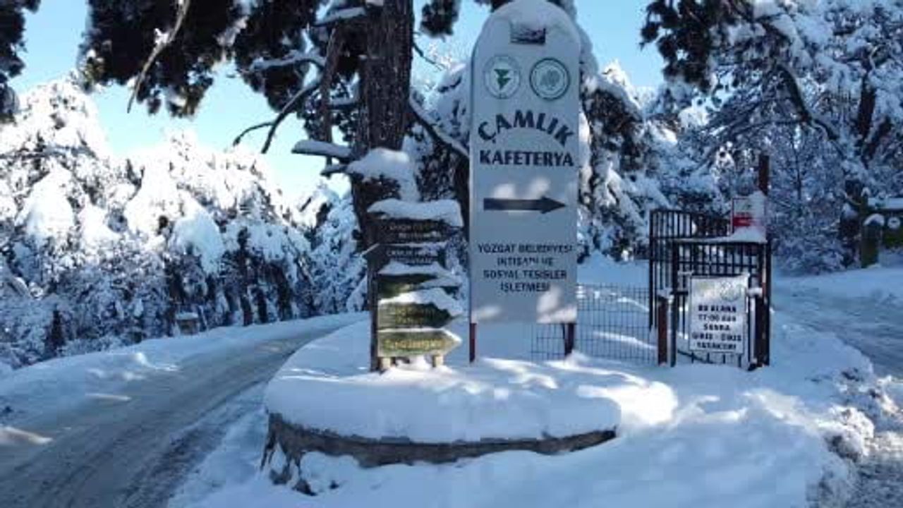 Yozgat Çamlığı'nda Kar Manzarası Havadan Görüntülendi