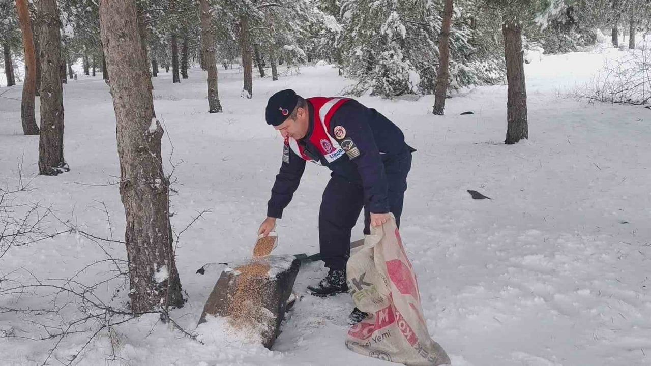 Yozgat Jandarması yaban hayvanlarına yem bıraktı