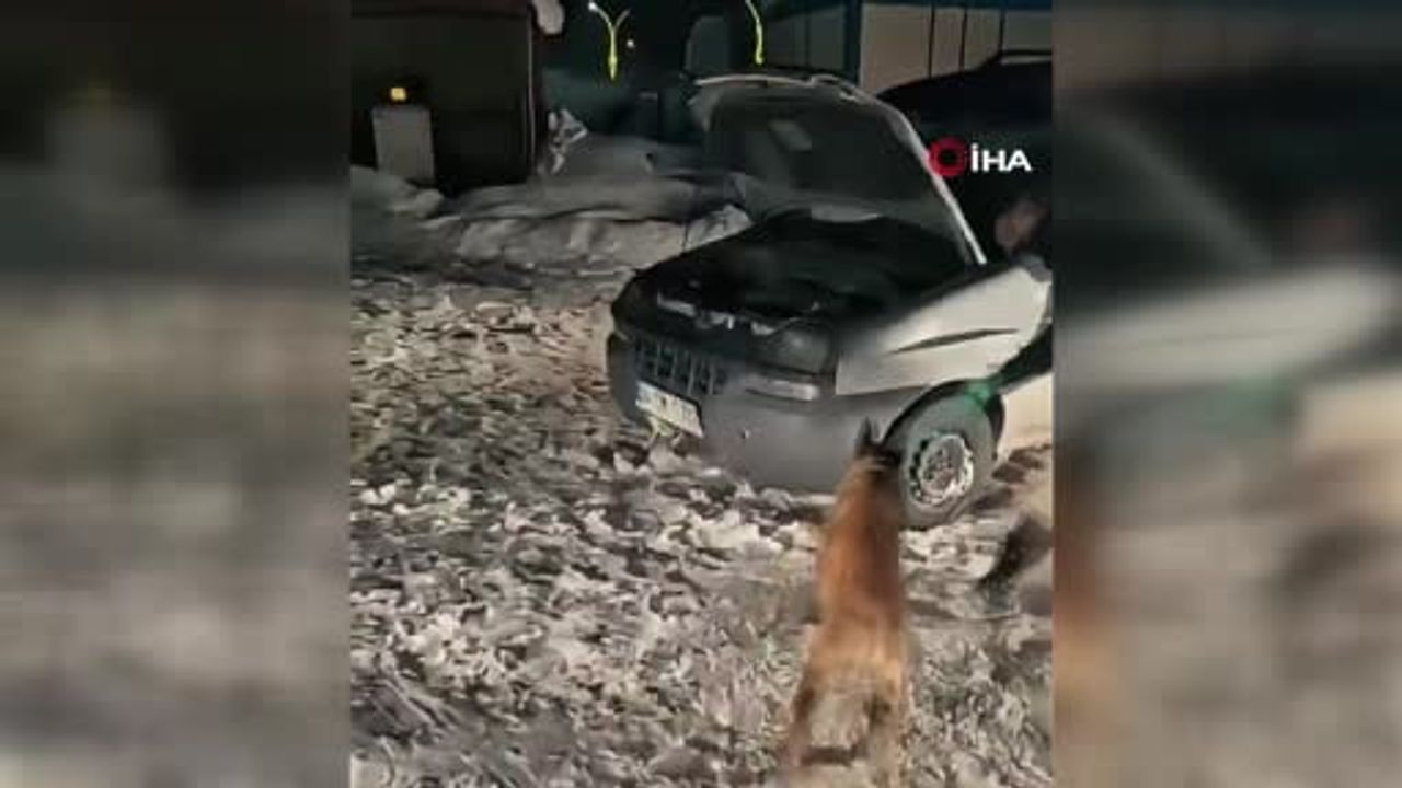 Yüksekova'da 30 kilogram Skunk ele geçirildi — 2 şüpheli gözaltında