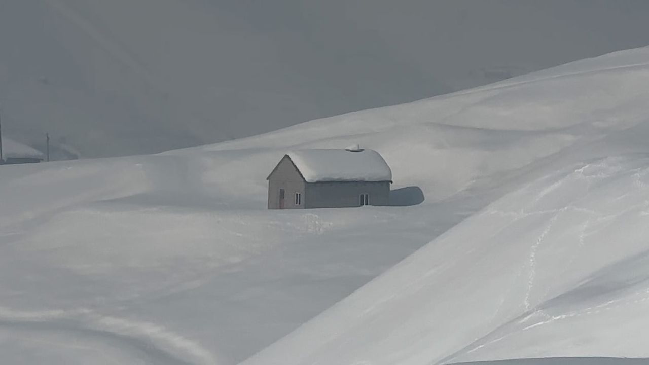 Yüksekova’da çiftçilere kurt saldırısı uyarısı