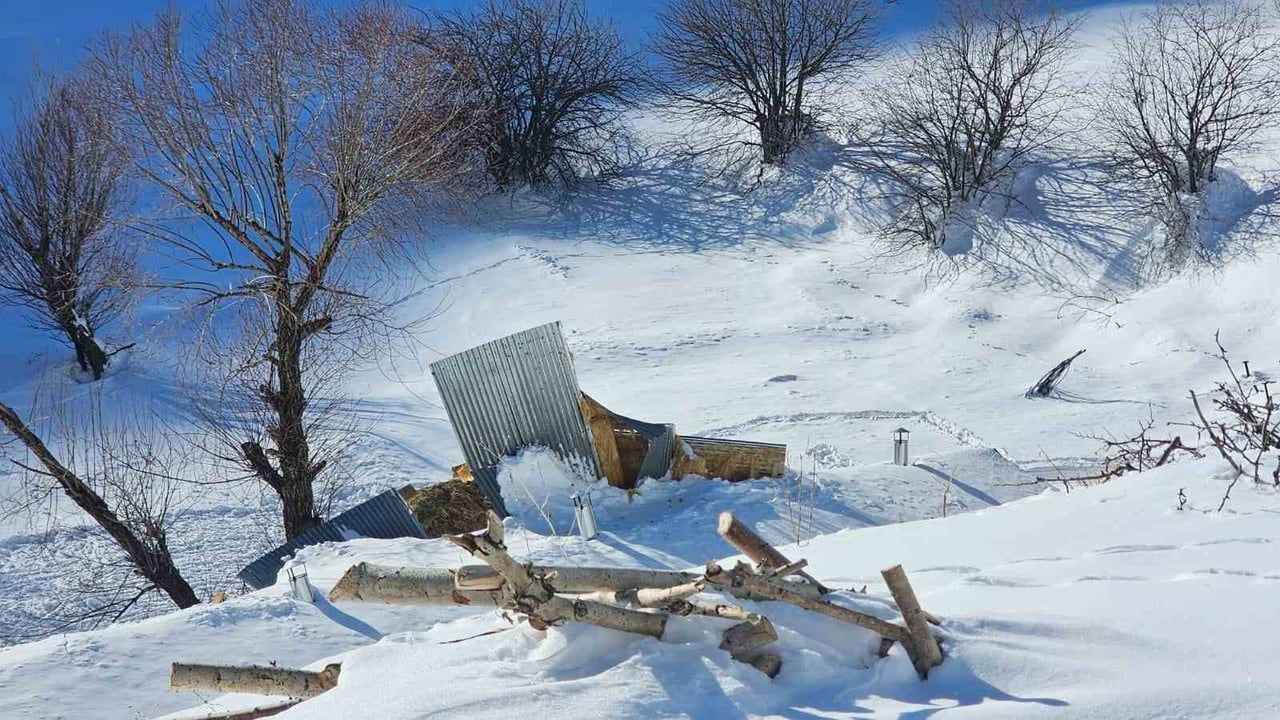 Yüksekova'da çığ yaraları sarılıyor