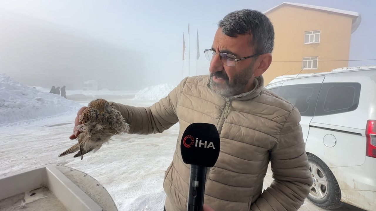 Yüksekova’da yürek burkan manzara: Pompa üzerinde donmuş kuş