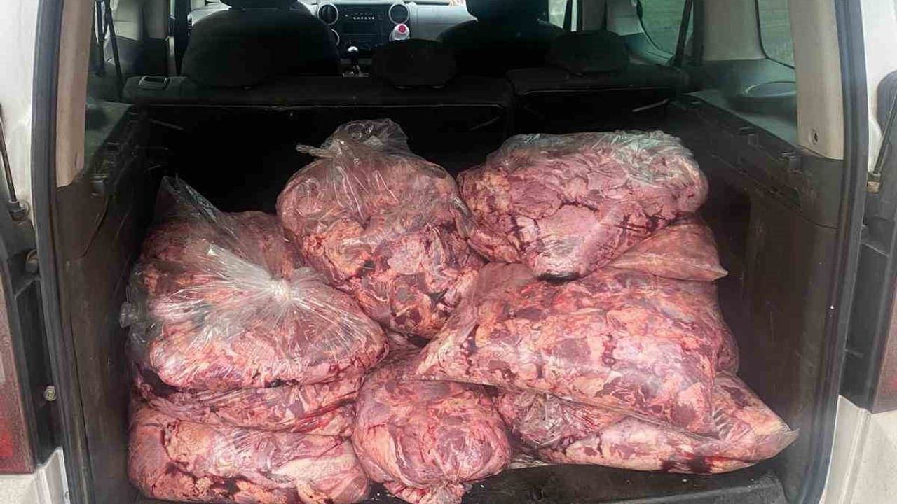 Zonguldak’ta 450 kilogram bozulmuş et ele geçirildi