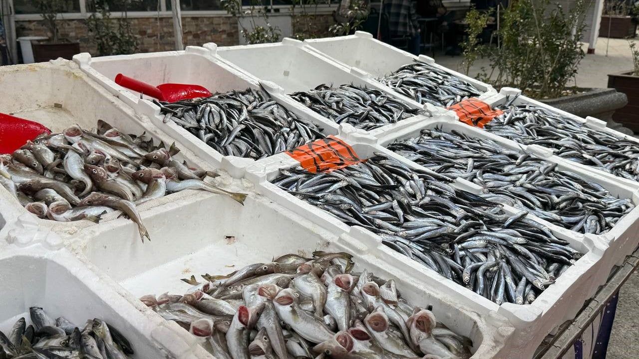 Zonguldak’ta hamsi tezgâhlara döndü — fiyat 200 TL