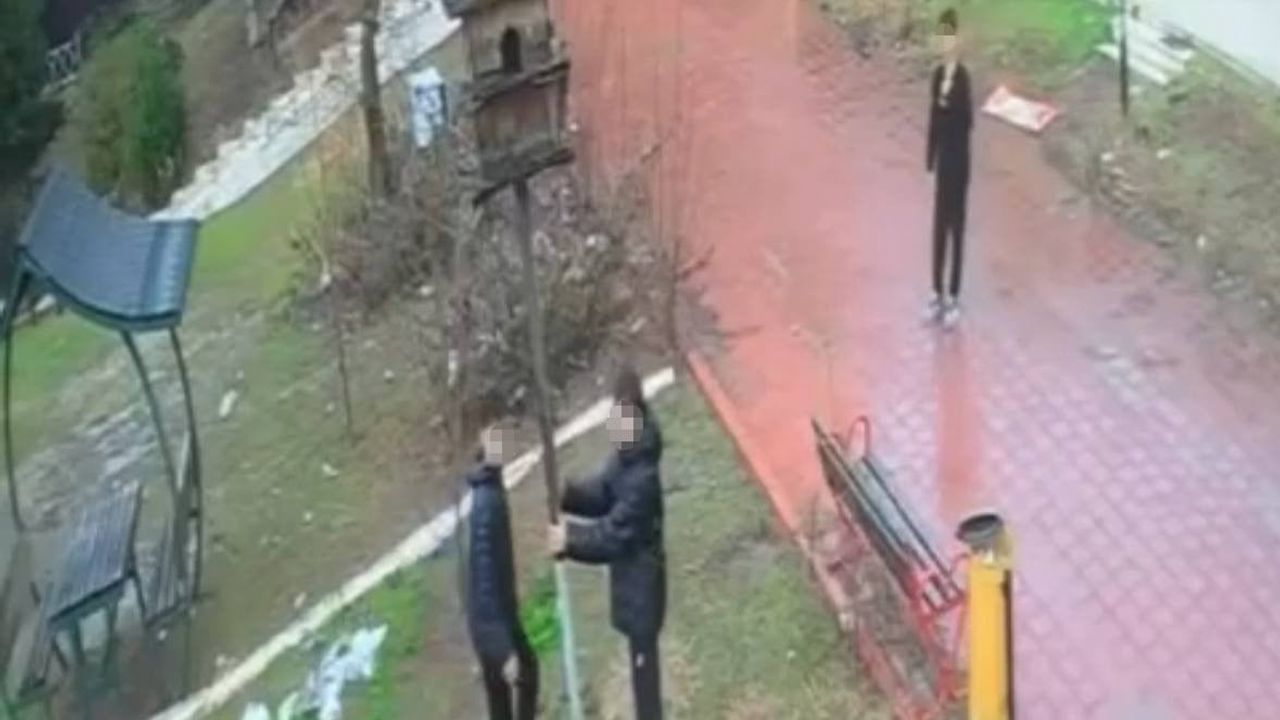 Adana Çukurova Dinazor Park'ta 4 çocuğun kuş yuvasını yıkması kamerada